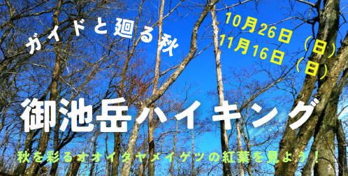 「御池岳ハイキング」パンフレット